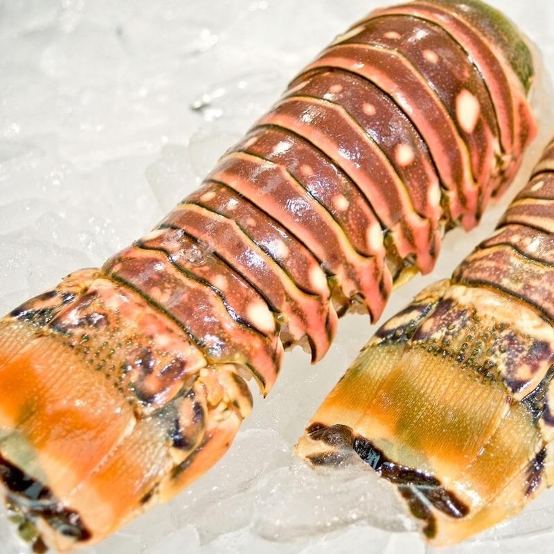 Warm Water Lobster Tails 